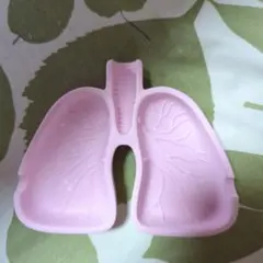 2025年最新】肺皿の人気アイテム - メルカリ