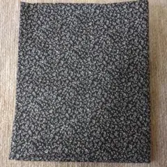 Item thumbnail for item c9d36c81-f4ed-4efc-9a56-4415a4d7107d