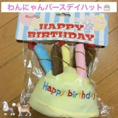 犬猫用　バースデーハット　ワンチャンネコチャン誕生日ケーキ　おもちゃ　映え　帽子
