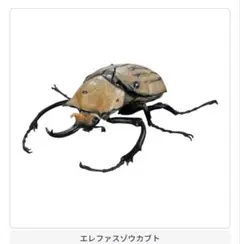 いきもの大図鑑 アドバンス カブトムシ04 エレファスゾウカブト