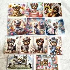 ヨーキー　サイズ色々セット