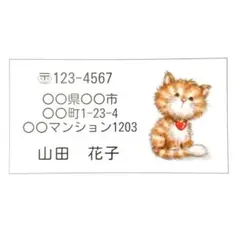 [17호] 발신자 스티커 ★ 고양이