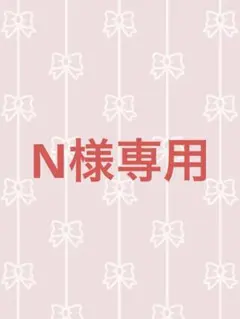 N様専用‼️他の方はご購入できません‼️