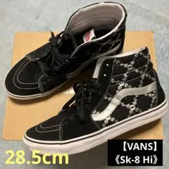 【VANS】Sk-8 Hi （28.5cm）