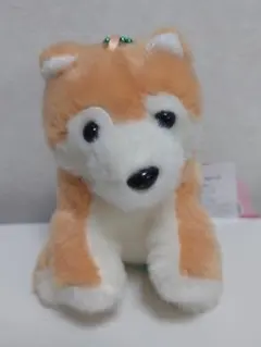 くったり柴犬元気いっぱいLMC　ろんろん