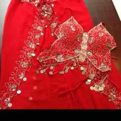 ❣️インポート ベリーダンス 衣装