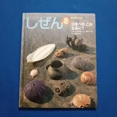 キンダーブックしぜん　はまべのこれなあに？　フレーベル館
