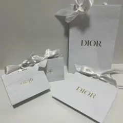 Dior ラッピング袋 4点セット
