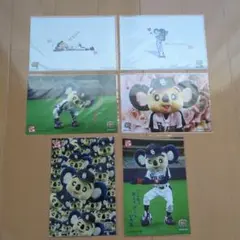 中日ドラゴンズ ドアラ ポストカード 6枚