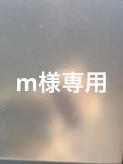 m様専用