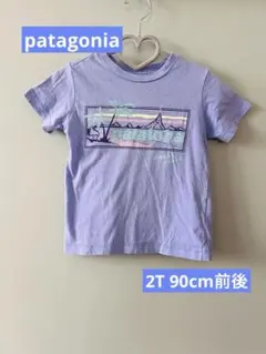 Patagonia Pataloha Tシャツ パープルのサムネイル