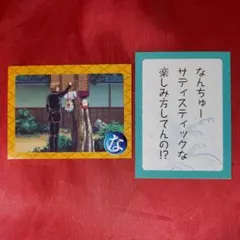 寺門お通 カード かるた ③ 銀魂 Gintama - メルカリ