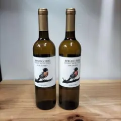 フランスぶどう畑大図鑑 ブノア•フランス編 フランスワイン テロワール・アトラス フランスワイン テロワール・アトラス : フランスぶどう畑大図鑑