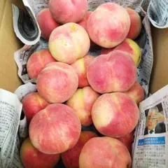 ワケアリ！傷桃4.5キロ〜！甘〜い桃　平均糖度13度のサムネイル
