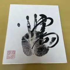 希少品】若乃花 サイン色紙手形 横綱 相撲 - メルカリ