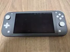 Nintendo Switch Lite グレー 本体　ジャンク品