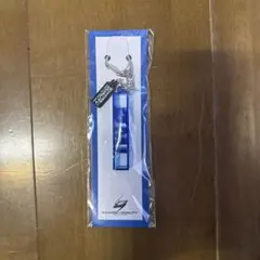 登坂広臣　アクリルキーホルダー