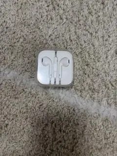 Apple純正　ホワイト 有線イヤホン ケース付き
