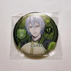 ツイステ シルバー 缶バッジ 15個まとめ売り ユニオンオーロラ缶バッジ ツイステ シルバー 缶バッジ 15個まとめ売り ユニオンオーロラ缶