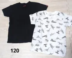 男の子　Tシャツ 120サイズ　2枚セット