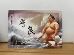 Item thumbnail for item d8f02597-2452-4717-ab7d-f98fa8322797