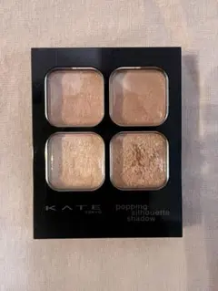 KATE ポッピングシルエットシャドウ OR-1 アプリコットポップ