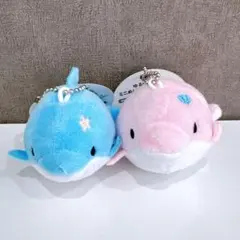 2025年最新】みいるかぬいぐるみの人気アイテム - メルカリ