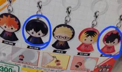 マサラタウン様専用 めじるしアクセサリー