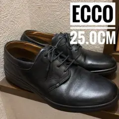 美品　エコー ECCO レースアップ レザーシューズ　コンフォート　25.0cm