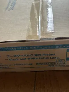 WS ヴァイスシュヴァルツ 東方Project 初版 未開封 カートン - メルカリ