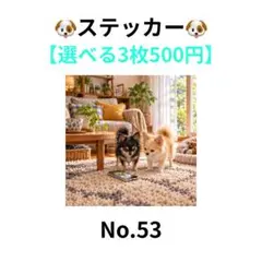 【3枚500円】ステッカー　チワワ2匹　ブラックタン　クリーム　犬　No.53