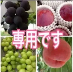 差額のサムネイル