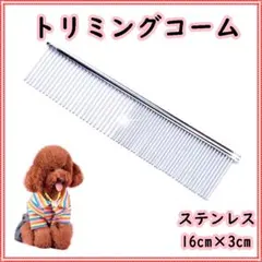 Item thumbnail for item 49969ea4-07c8-44ad-b7fa-29abd10690a6