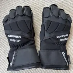 2026年最新】goldwin グローブ ゴアテックスの人気アイテム - メルカリ