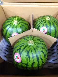 ポンポンリッチ　小玉西瓜秀品3L3玉　10キロ　松本ハイランドより ポンポンリッチ 小玉西瓜秀品3L3玉 10キロ 松本ハイランドより - メルカリ