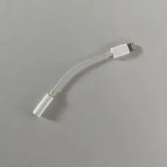 iPhone Apple 純正 ライトニングケーブル　イヤホン