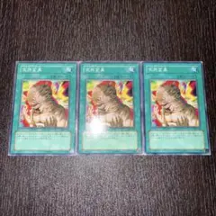 遊戯王 突然変異 メタモルフォーゼ 3枚 301-038 3688