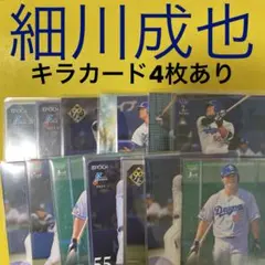 細川成也 14枚セット カード キラカード