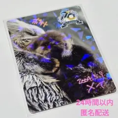 2026年最新】鳥羽水族館70周年の人気アイテム - メルカリ