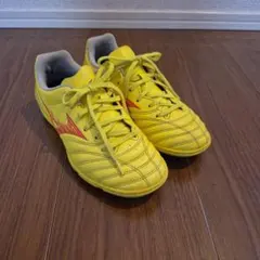 MIZUNO　ミズノ　モナルシーダネオ　トレシュー　22センチ