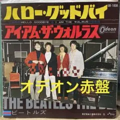 Item thumbnail for item 3dacff85-5ad5-4e44-a673-791b3c318150