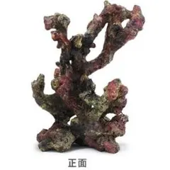 水槽 擬岩 ライブロックモジュールC レッドシー レイアウトオブジェ