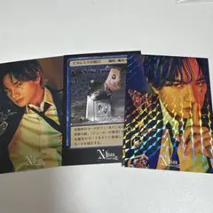 中島健人 N/bias 巡 Nカード ピカレスクの銃口