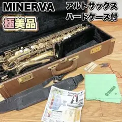 美品 SELVA ソプラノサックス 希少 ケース付 ゴールド 管楽器 - メルカリ