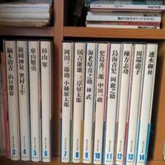 川端康成 小糸源太郎 三厚シリーズ12冊 2025年最新】小糸源太郎の人気アイテム - メルカリ