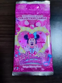 コレクションカード ミニパル ミニファン