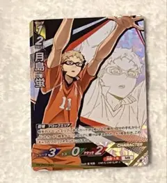 ハイキュー　バボカ　最強の挑戦者　頂 月島 蛍