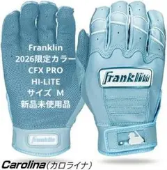 2026年最新】フランクリン バッティンググローブ lの人気アイテム