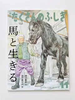 たくさんのふしぎ 40冊セットD まとめ売り たくさんのふしぎ 40冊セットD まとめ売り たくさんのふしぎ40
