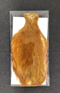 Item thumbnail for item 888d67d0-46a6-4b05-a46f-0931d1fe97f5